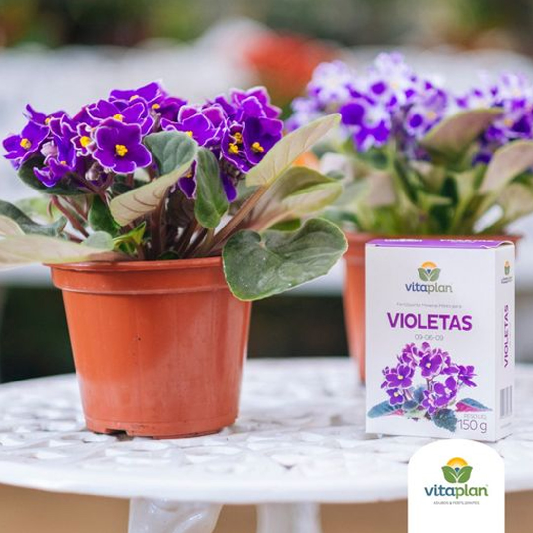Fertilizante para Violeta Africana VITAPLAN - Gardém
